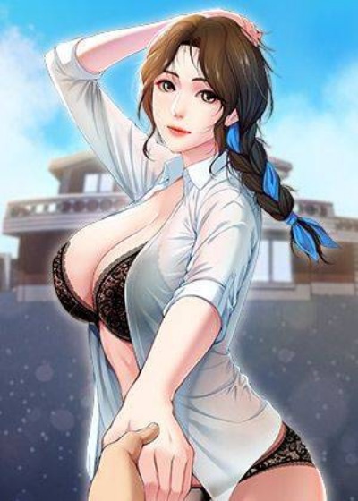 钢之炼金术师 封面